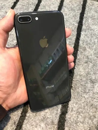 8 plus 256gb pta approved